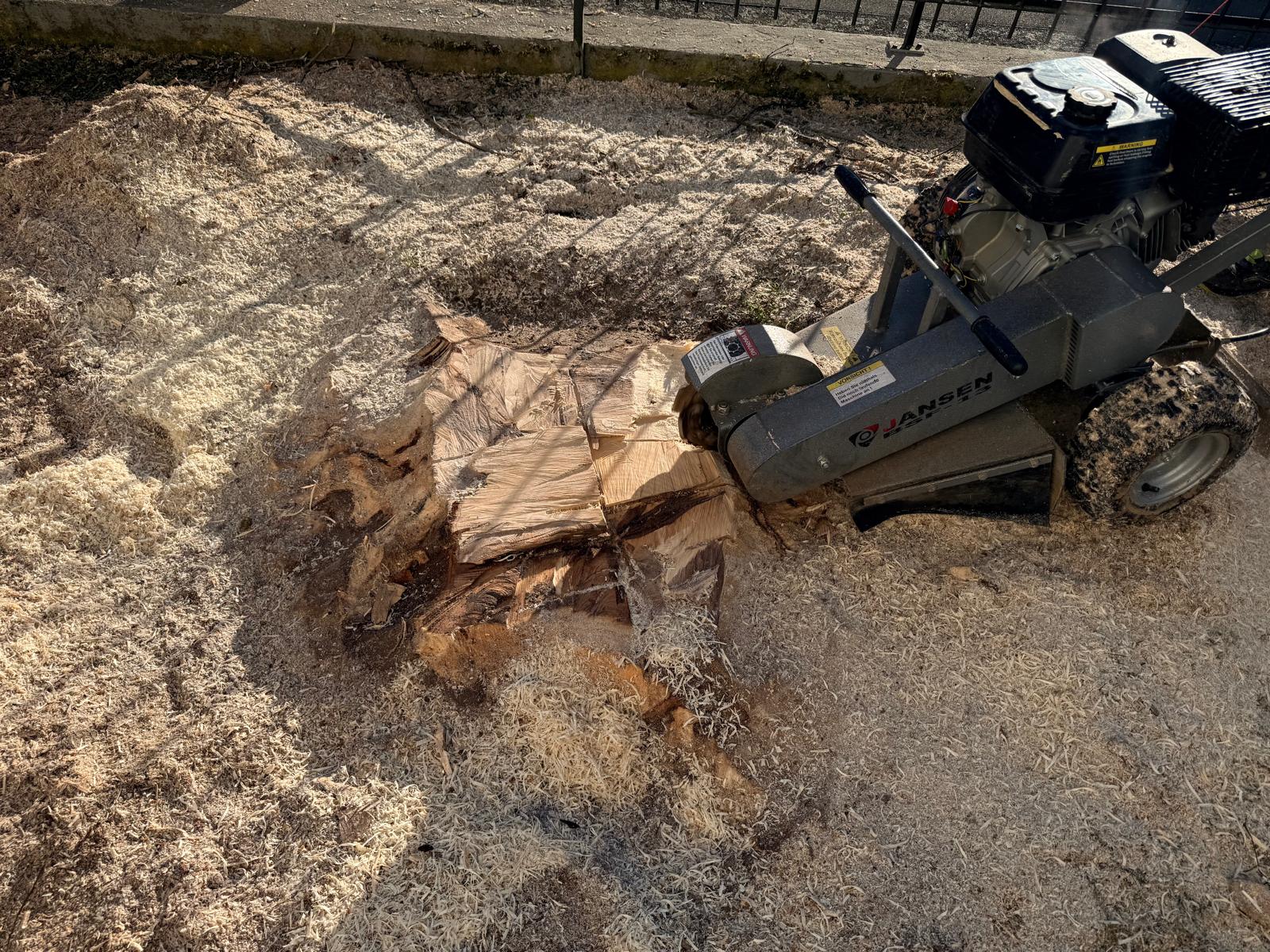 Grünfix Gartenservice Projekt 5 – Gartenpflege im Ortenaukreis