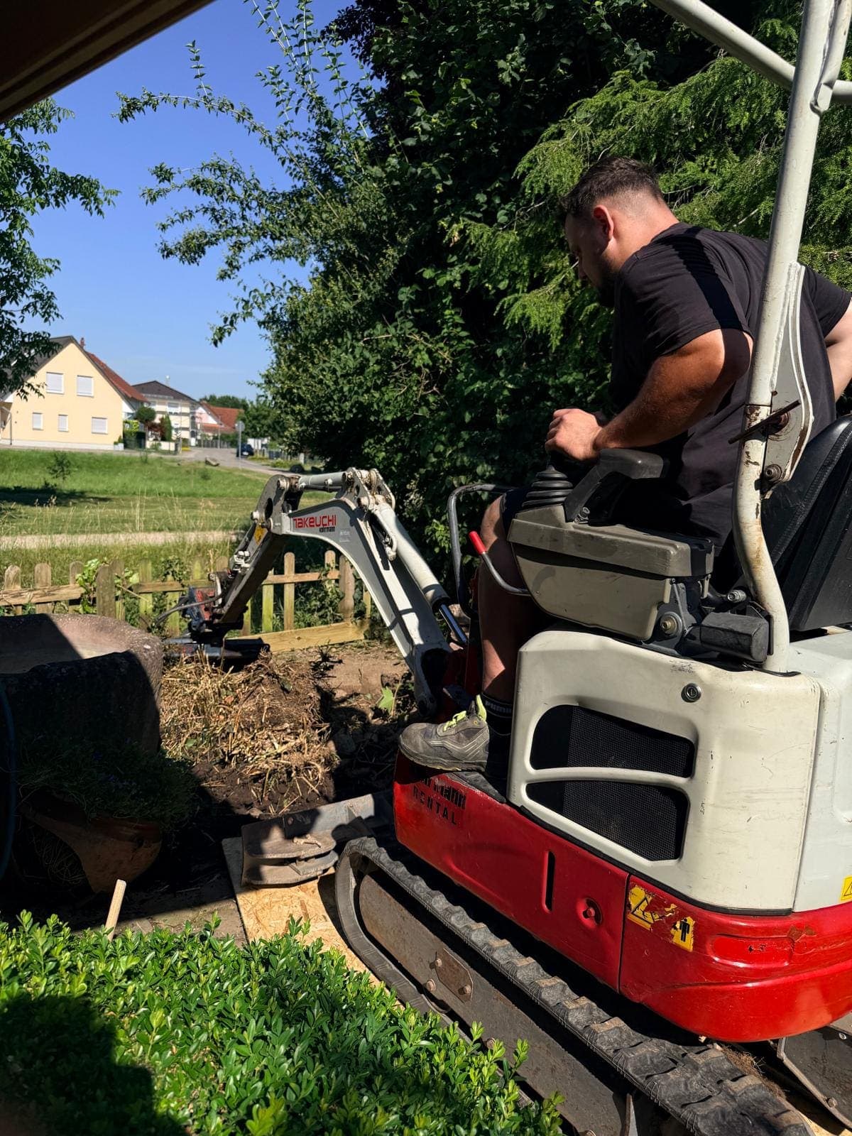 Heckenneupflanzung – Grünfix Gartenservice