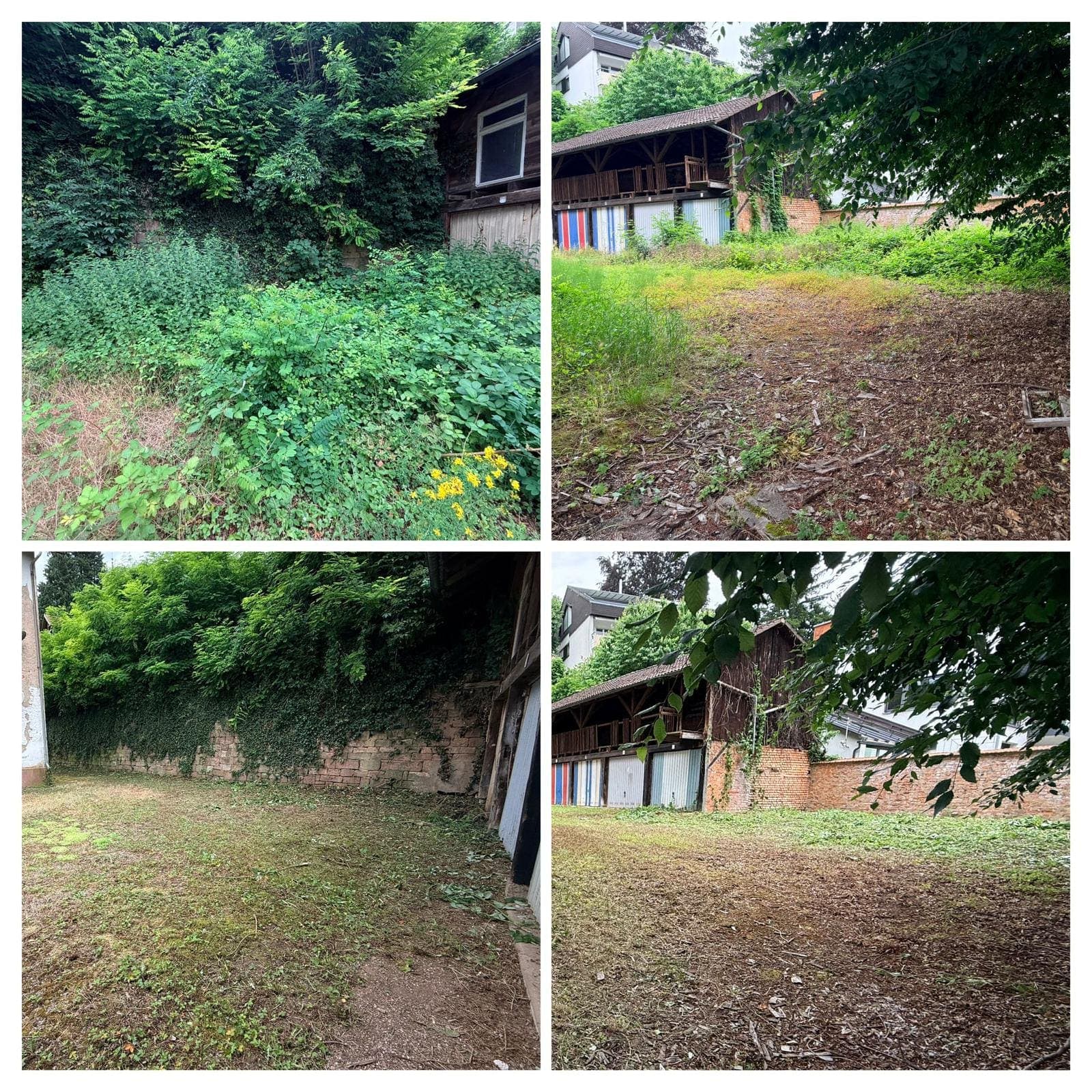 Heckenrodung – Grünfix Gartenservice