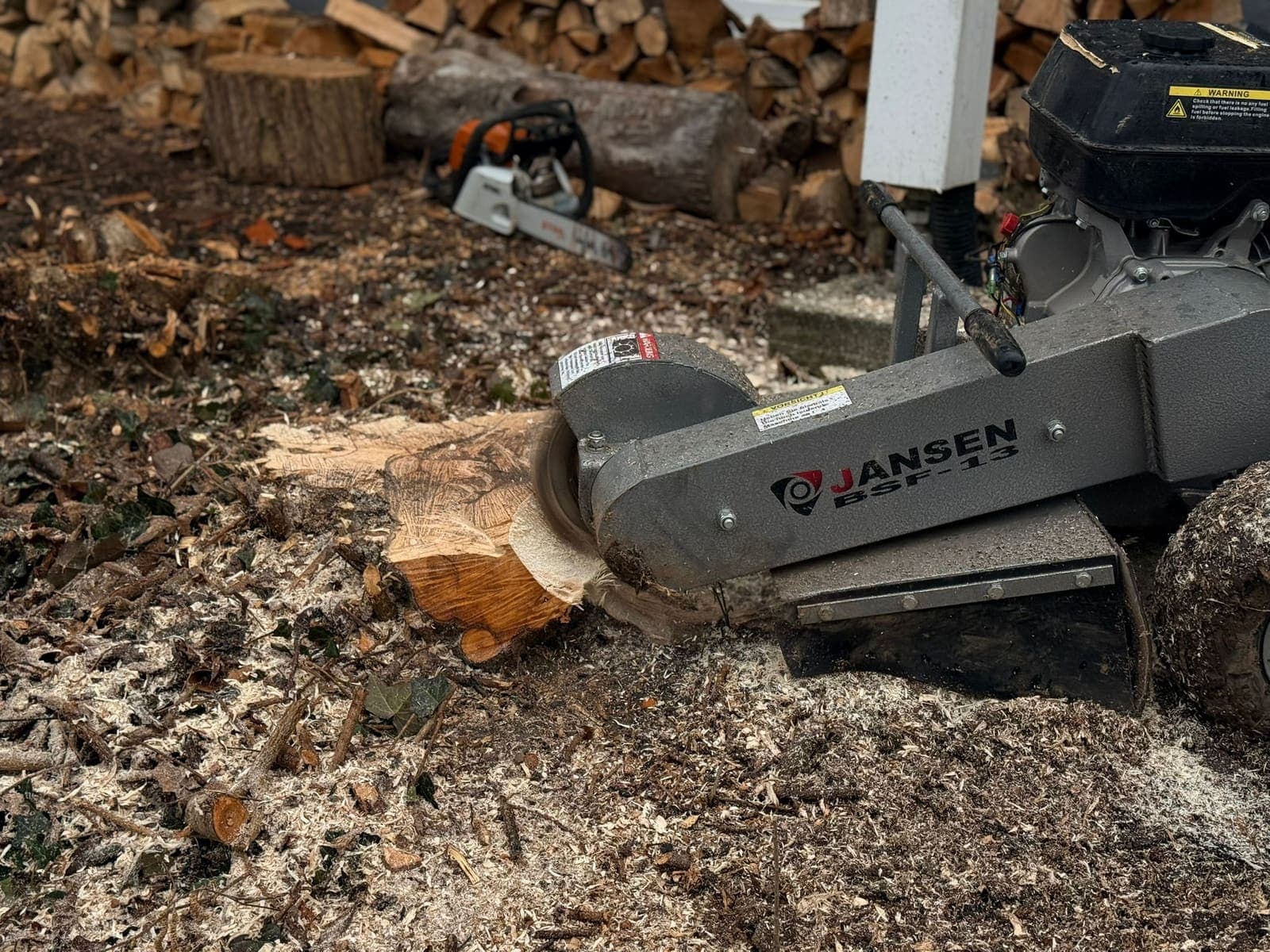 Alles rund um den Baum – Grünfix Gartenservice